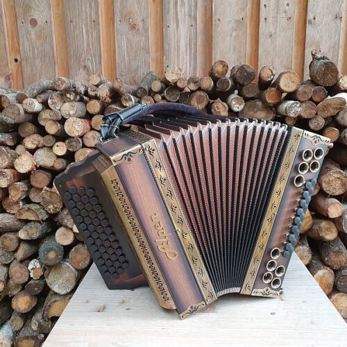 Mit Musik in den Sommer